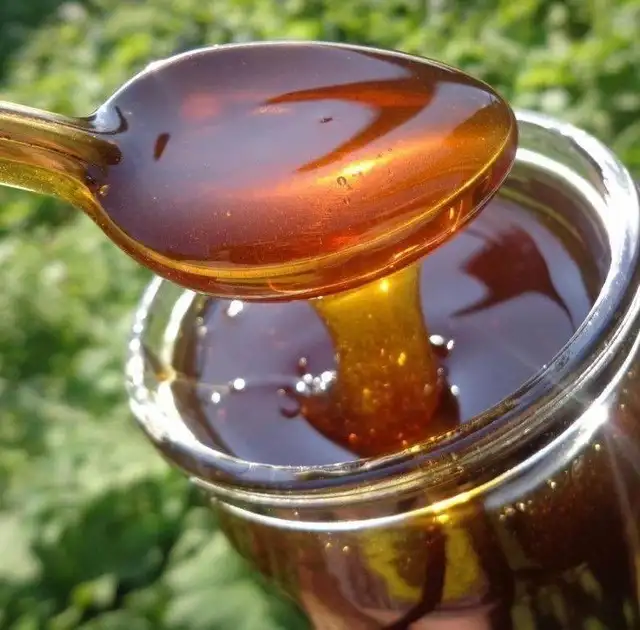 عسل خالص و طبیعی
