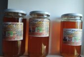 عسل خالص و طبیعی از ده ها نوع گل کوهی