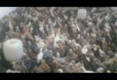 مرغ تخمی رنگه