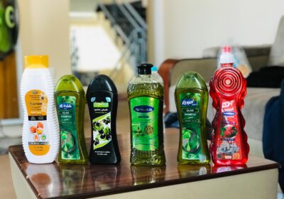 fd84d90a-3e61-4cce-aa27-bc86a0f5b66d