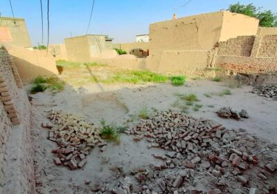 c373c58c-cece-4113-ad5b-6bf29a3e138e