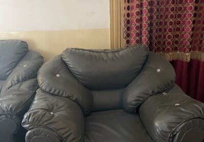 1735F6A9-B174-4169-AF5E-56DBB8A43A30