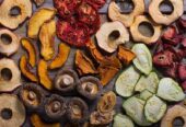 Silver Crest drying Fruits