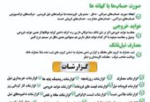 دیتابیس های حسابداری