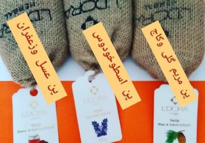 cbbfa972-06e6-440d-9220-4f11177d3881