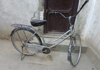 355e5def-53a1-4718-b183-2f29f0e4452a