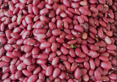 730df383-fd54-4d45-b3c6-0b106c3fe081