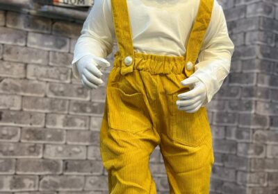 ae4953bc-ceee-4d5a-94ad-4fde888bc1a6