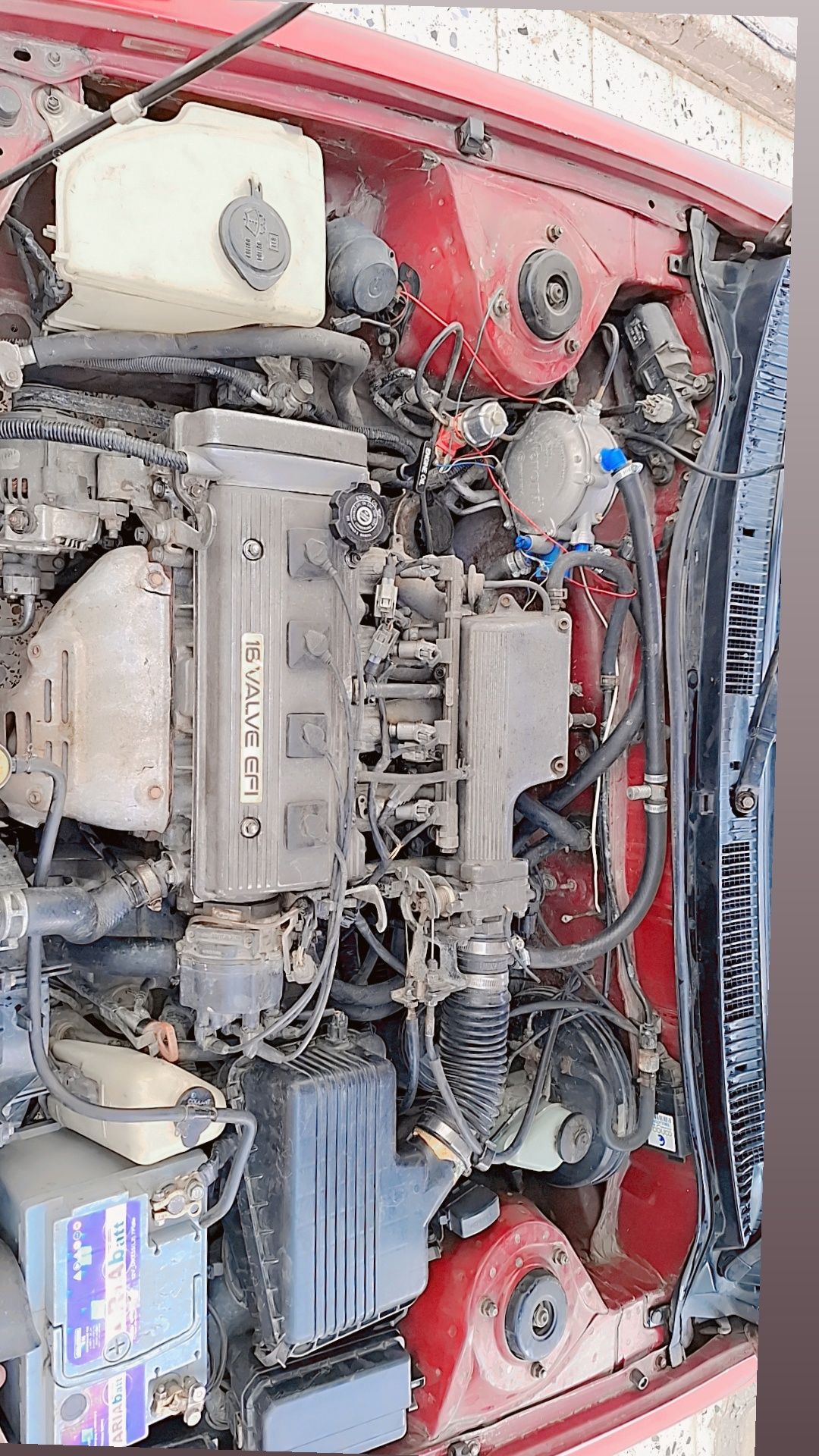 تویوتا کرولا کانادایی