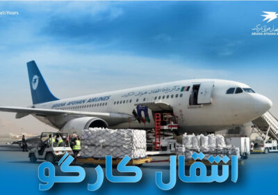 D8F50398-A243-4CD9-B478-FE715D710194