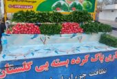 ترکاری پاک کرده وتازه