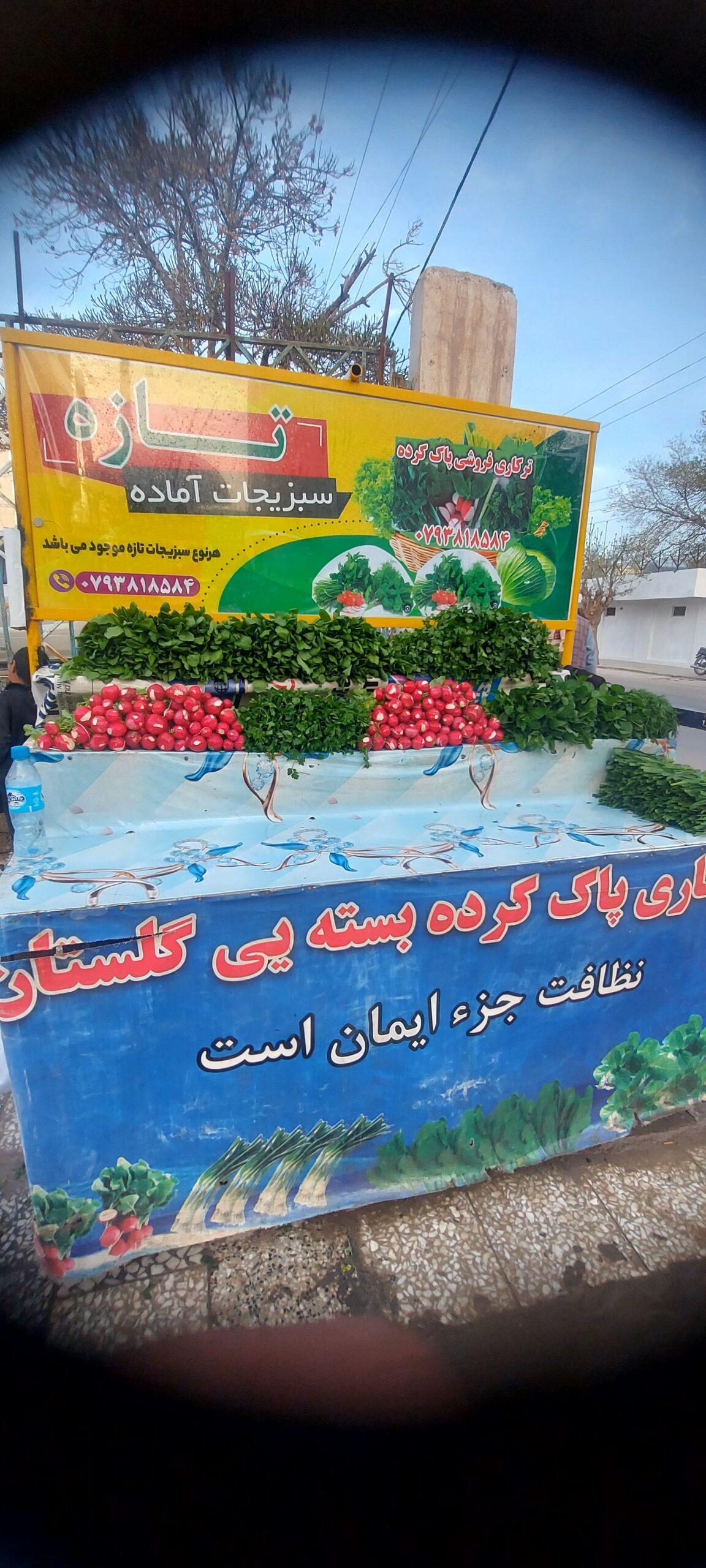 ترکاری پاک کرده وتازه