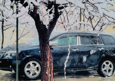 1410f97d-aa62-46c9-b16e-147b76022768