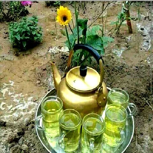 ترکاری پاک کرده وتازه