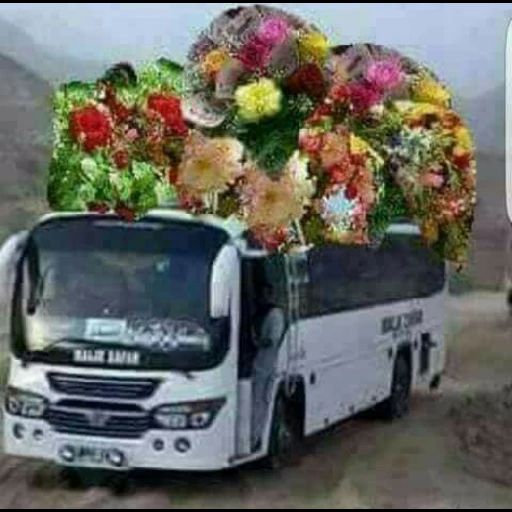 ترکاری پاک کرده وتازه