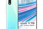 Vivo Y19
