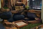 ساخت انواع ابشار کباب پز سایبان چیله طراحی باغ و س