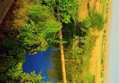 73c1c2a2-c31a-4836-af4b-748fad917d06