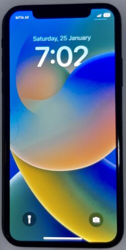 iPhone X