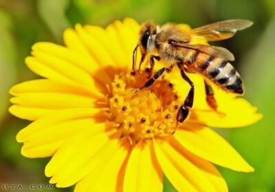 7ed023a3-df6a-48c0-9e8c-9d2e6e54b586