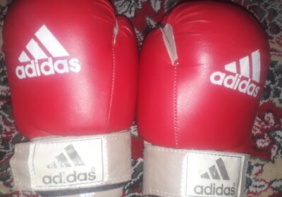 83bc3fe6-ecc3-4290-8f11-0a9045fd42ac