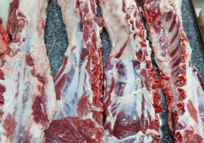 95238e62-742c-4b3c-aa56-4206bc99cf7c