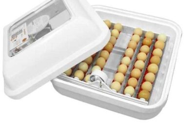 a3ac73c7-85d7-46b4-8532-6f76246a9992