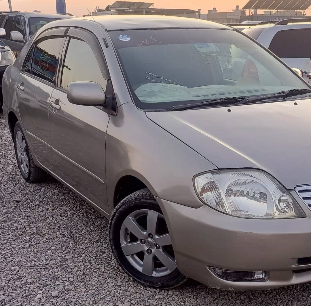 خلیجی شیپ ۲۰۰۳ مدل ۲۰۰۱