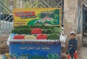 ترکاری پاک کرده وتازه
