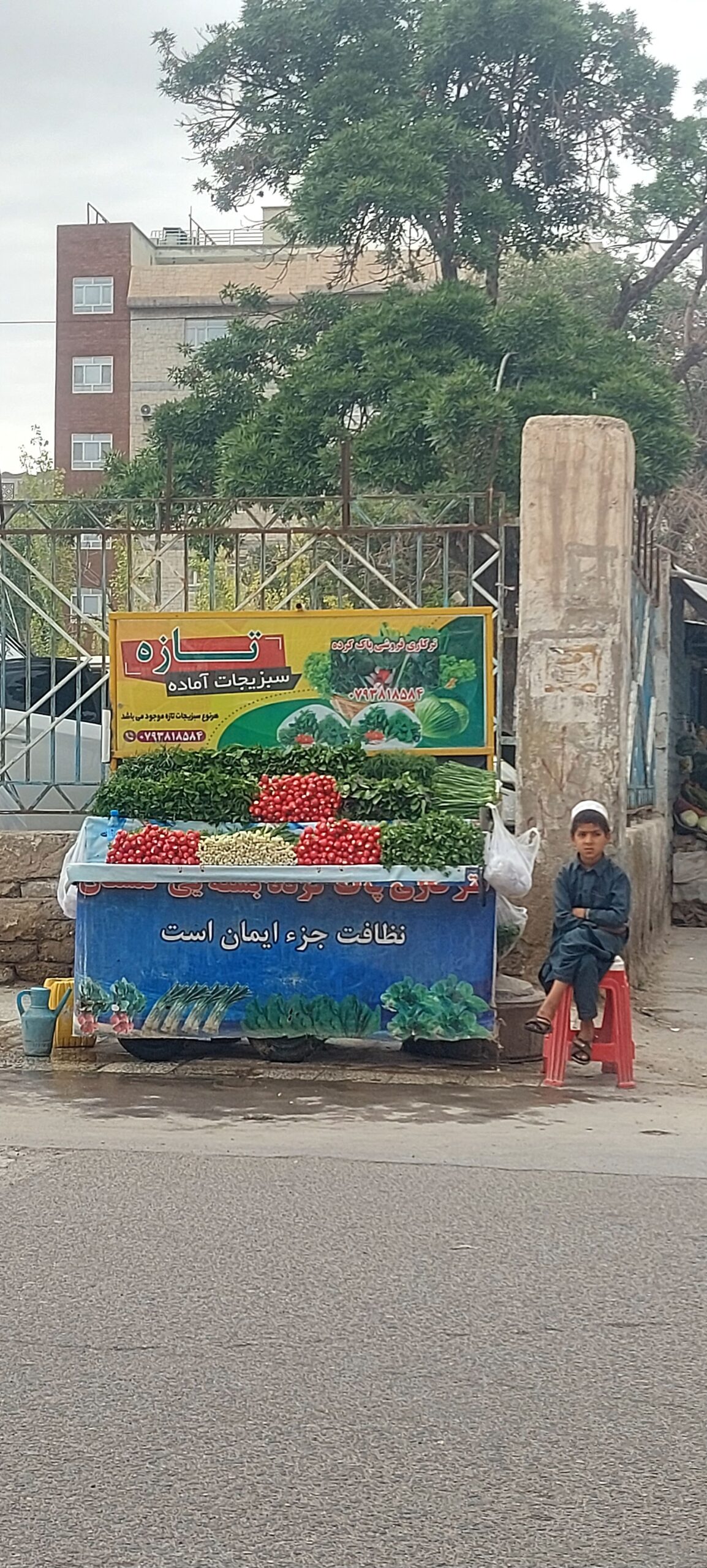 ترکاری پاک کرده وتازه