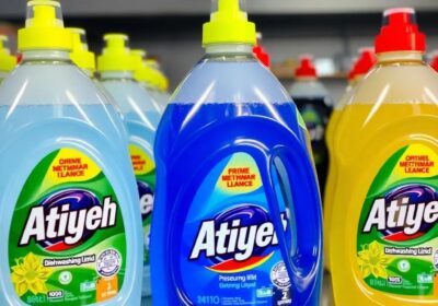 01e6be8b-8f2f-4d0c-a060-fa0bbac9ec47