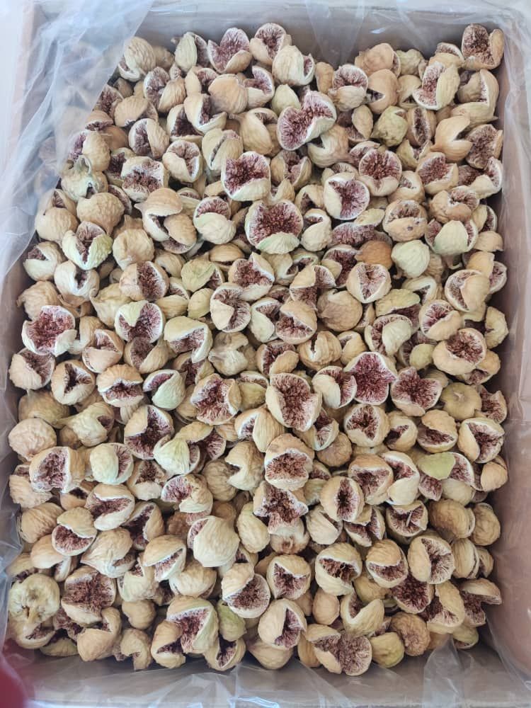 انجیر ایران