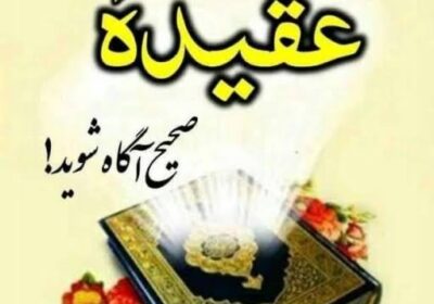 20DB7635-42DC-4C61-9EEE-077C0B8EB0C0