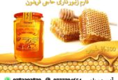 عسل کوهی