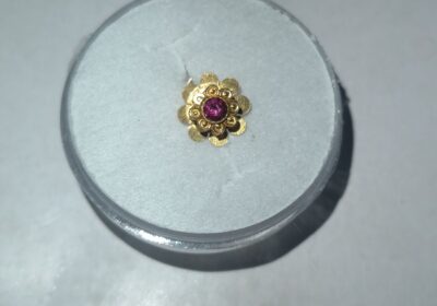 445ba2e1-26c8-4610-8ecf-8a29934651fa