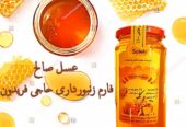 عسل کوهی