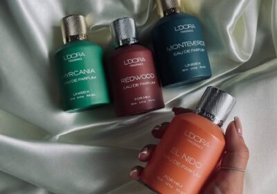 66235a81-3f63-4c10-820f-a60152a03919