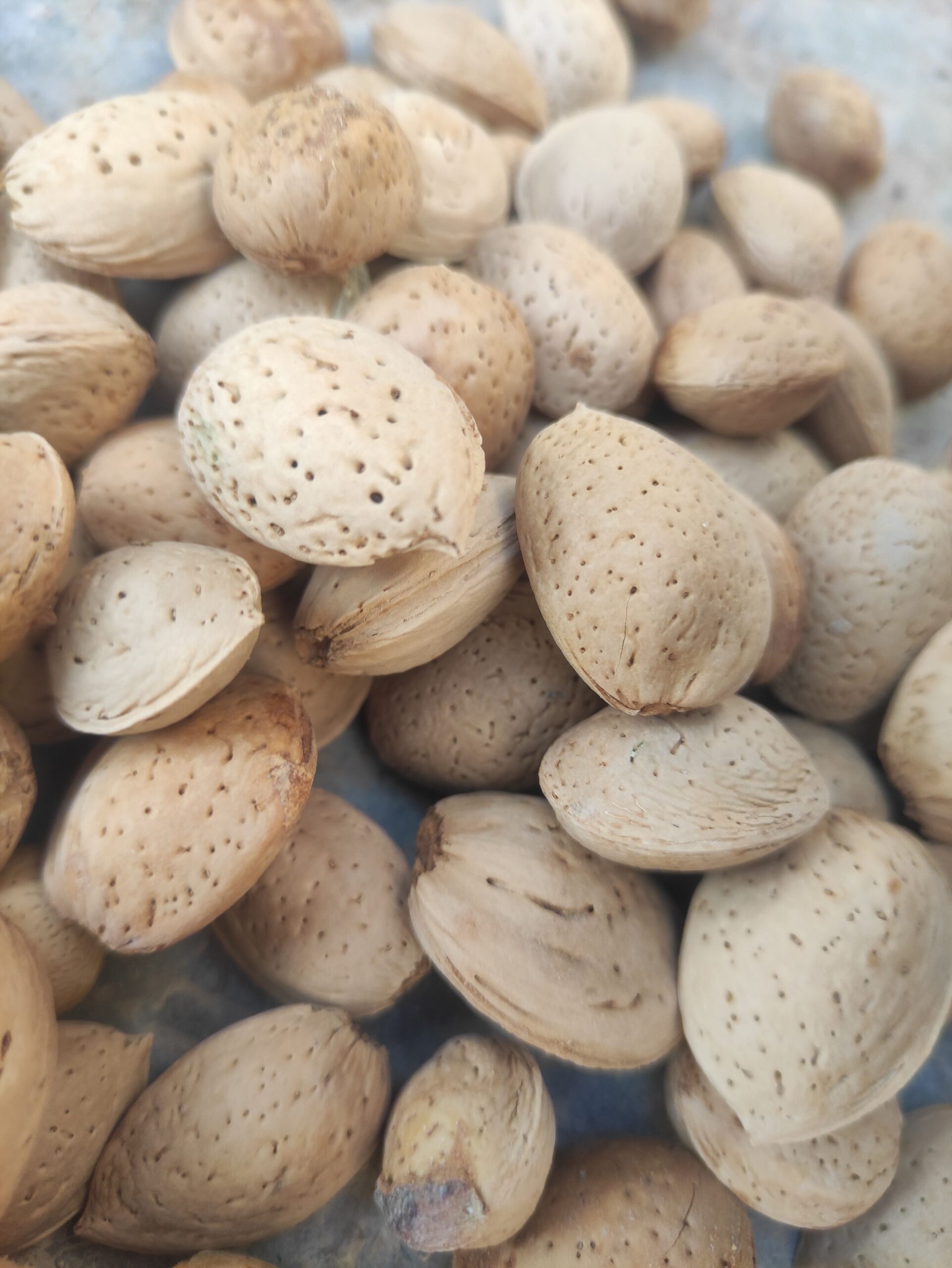 بادام پوست دار