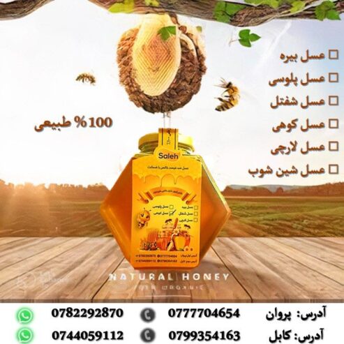 عسل کوهی