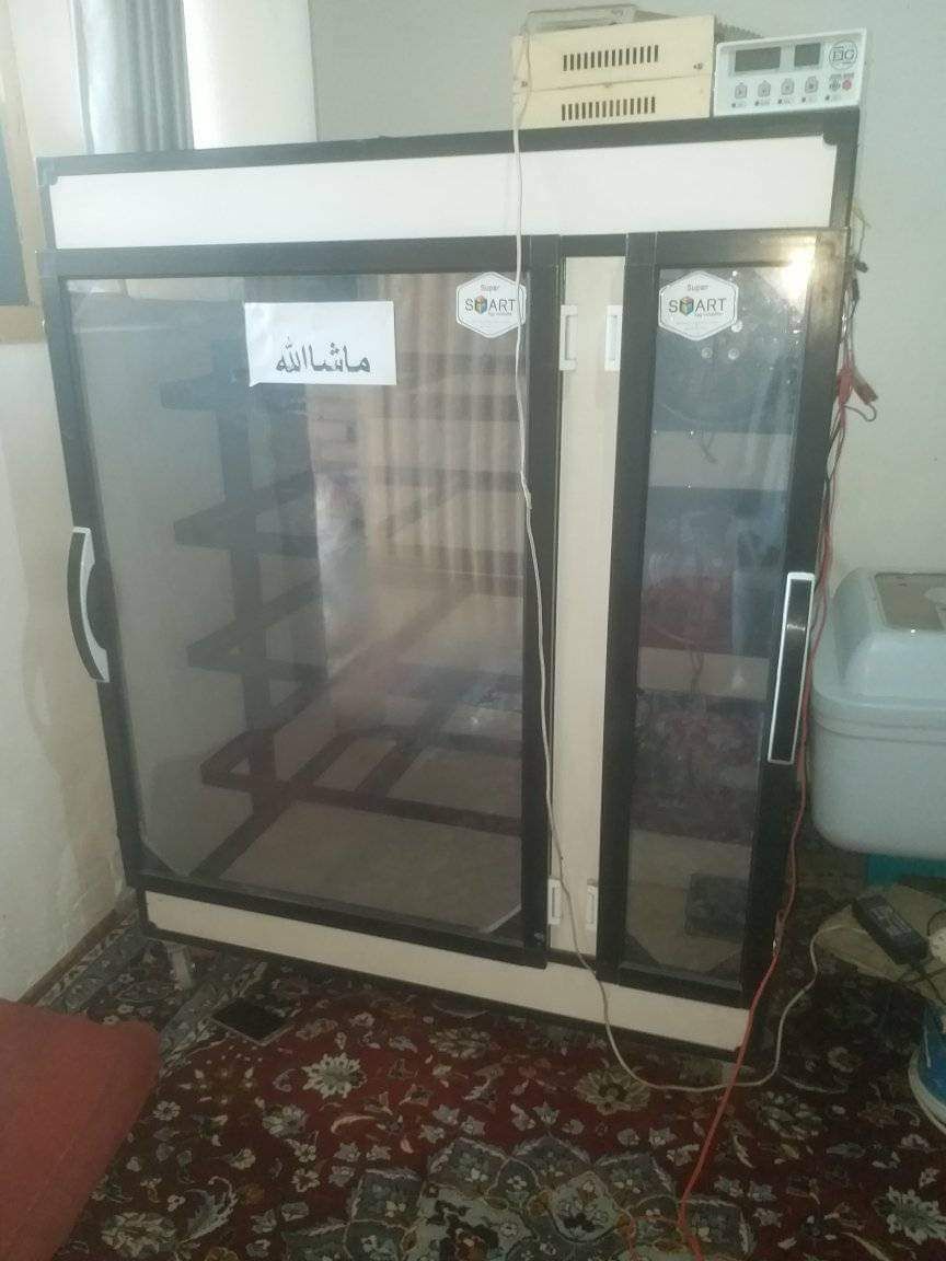 ماشین جوجه کشی شتر مرغ ۶۴ تایی (تمام پرنده ها).کمپ