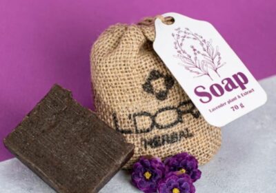 e8e42546-5326-4b06-b16a-5e43f3b99bb6