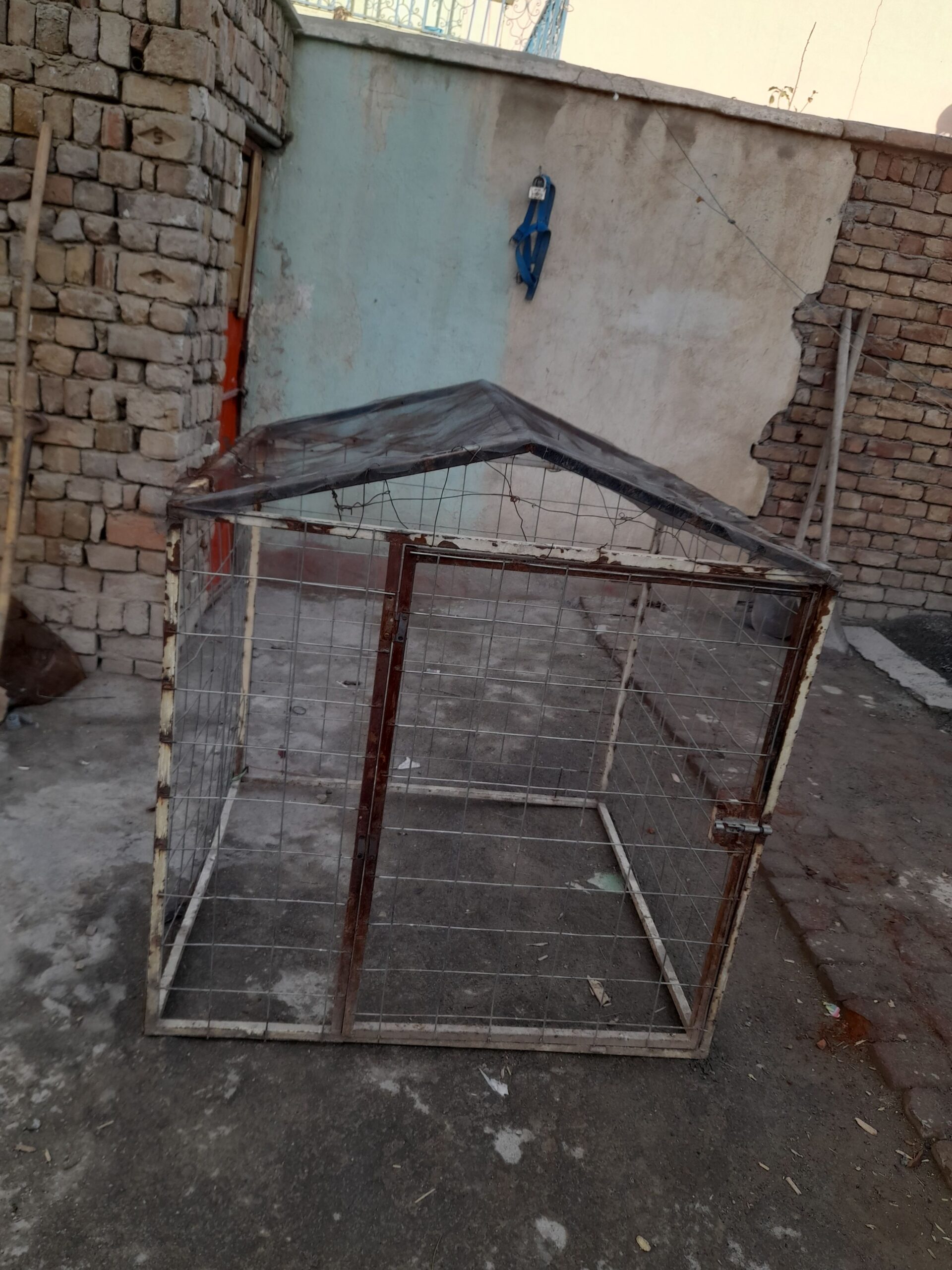 قفس بزرگ برای گرگ و مرغ های کلنگی