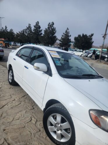 2005LE