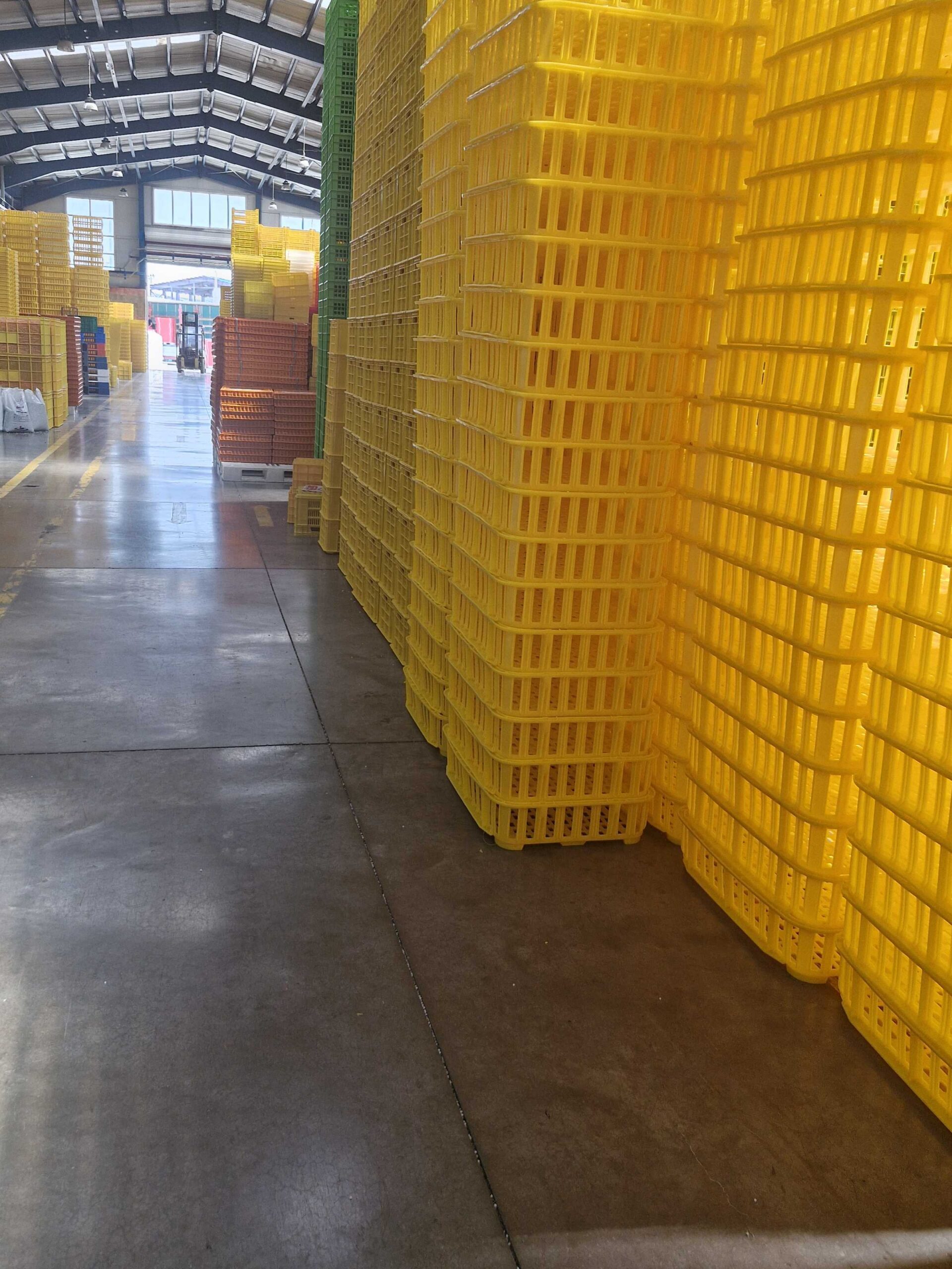 فروش انواع پالت پلاستیکی و جعبه