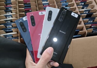 21b5d32a-1604-4125-a6e9-f6e65cfad509