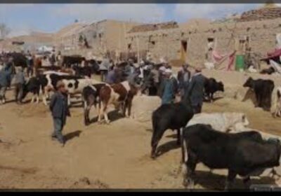 417c58f9-8526-469b-8148-562f7665a7d0