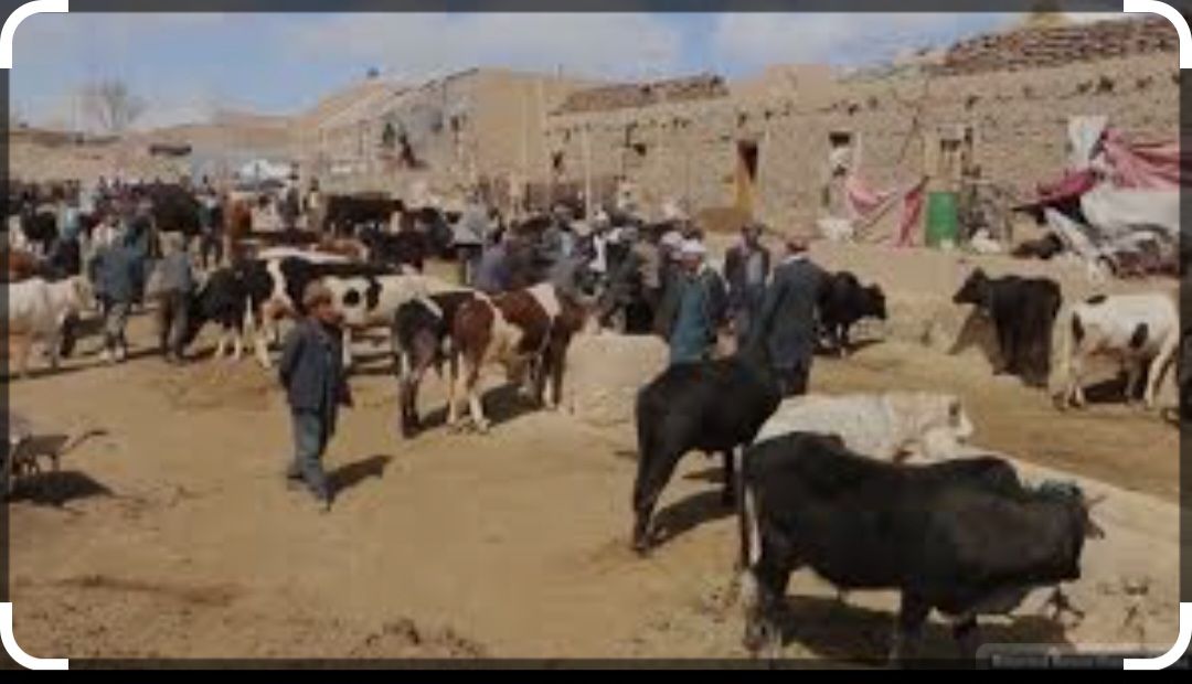 خرید فروش همه چیز