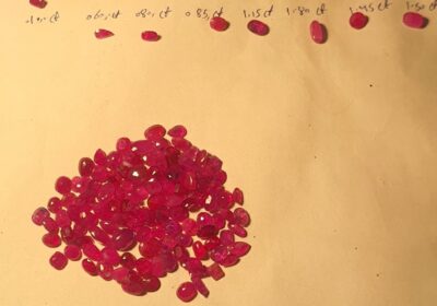 47d1616c-70b2-4e2d-837b-5c1811366421