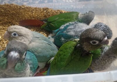 4fd3a838-6c98-49cb-a78e-d240d87fd05a