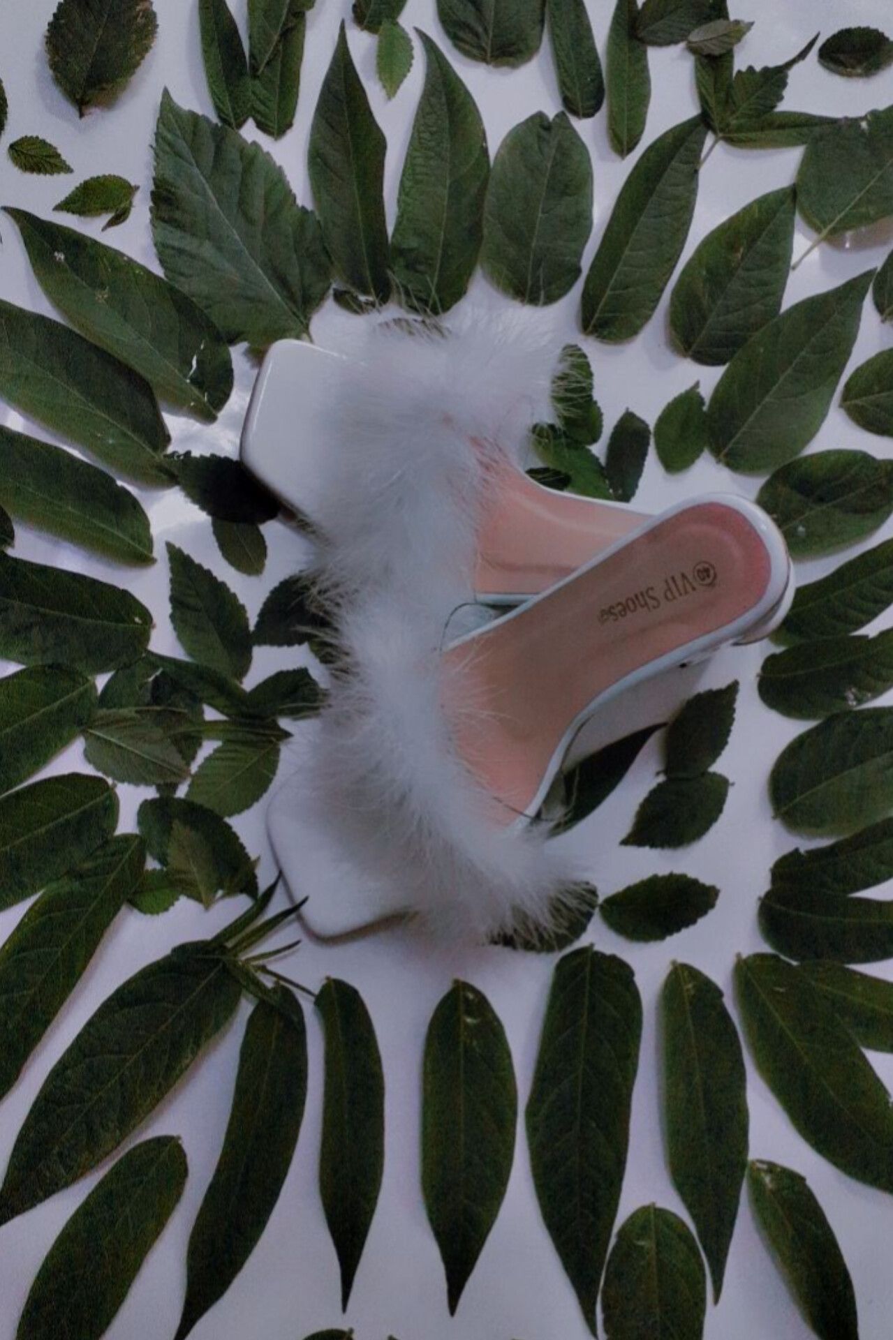 سرپایی کوری شیشه یی